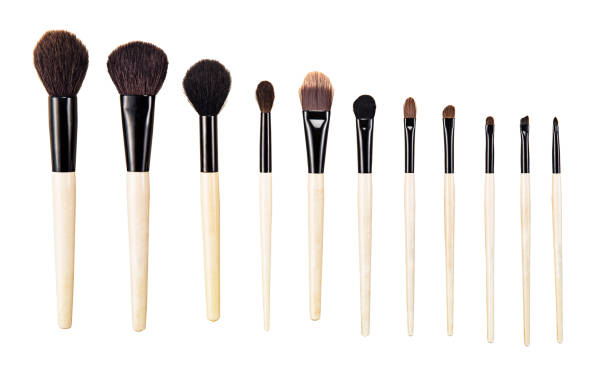 Make-up Brushes isolated on white background ( with clipping path)